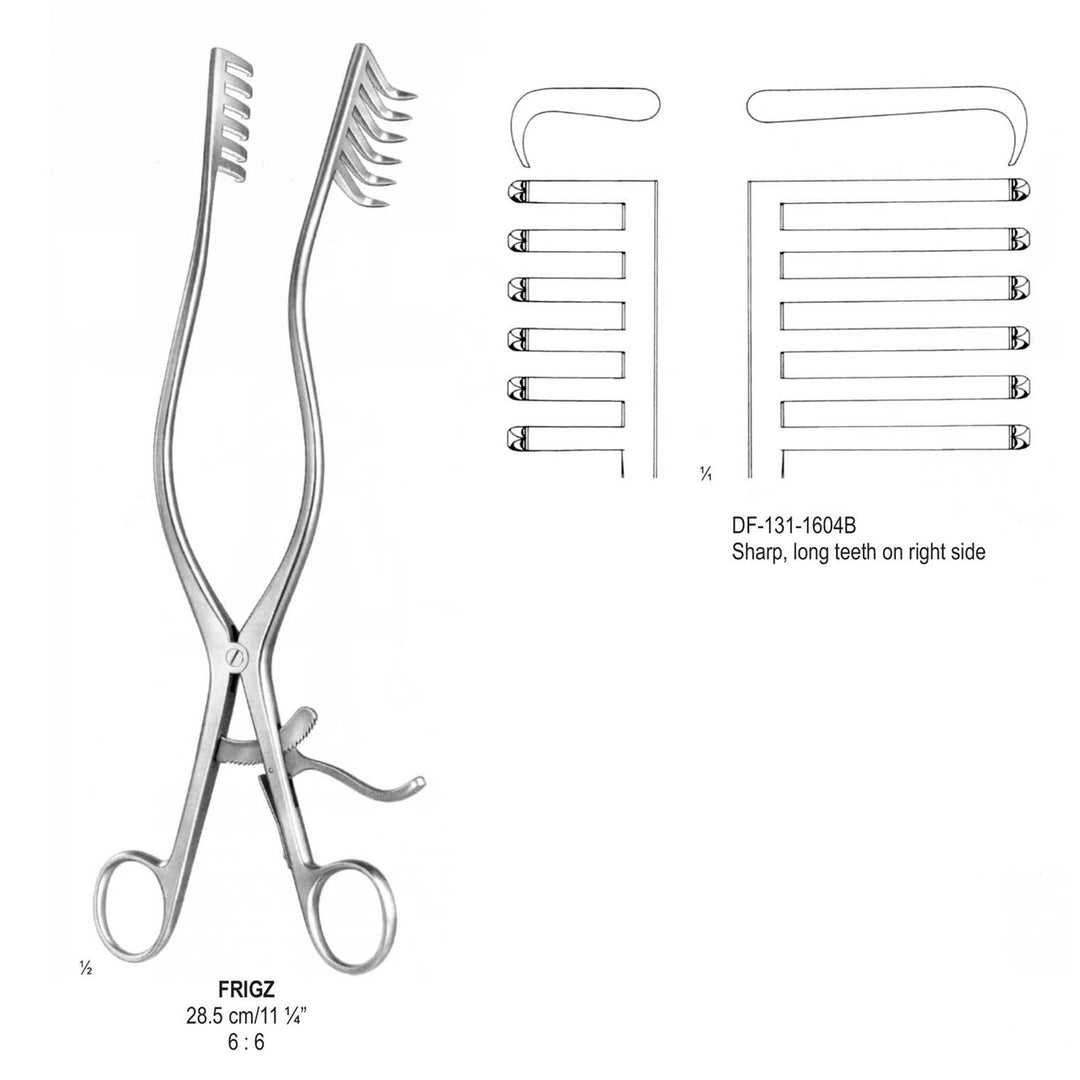 Frigz Retractors, 28.5Cm, Sharp,  6X6, Long Teeth Right  (DF-131-1604B) by Dr. Frigz