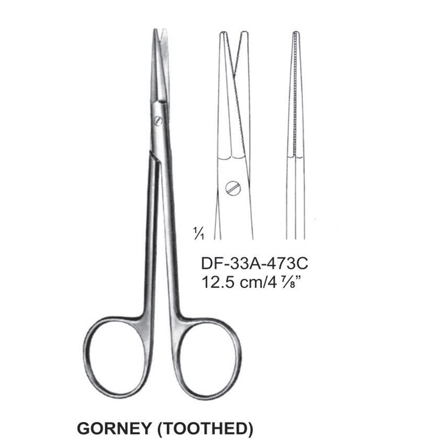 Groney (Toothed) Dissecting Scissors, Straight, 12.5cm (DF-33A-473C) by Dr. Frigz