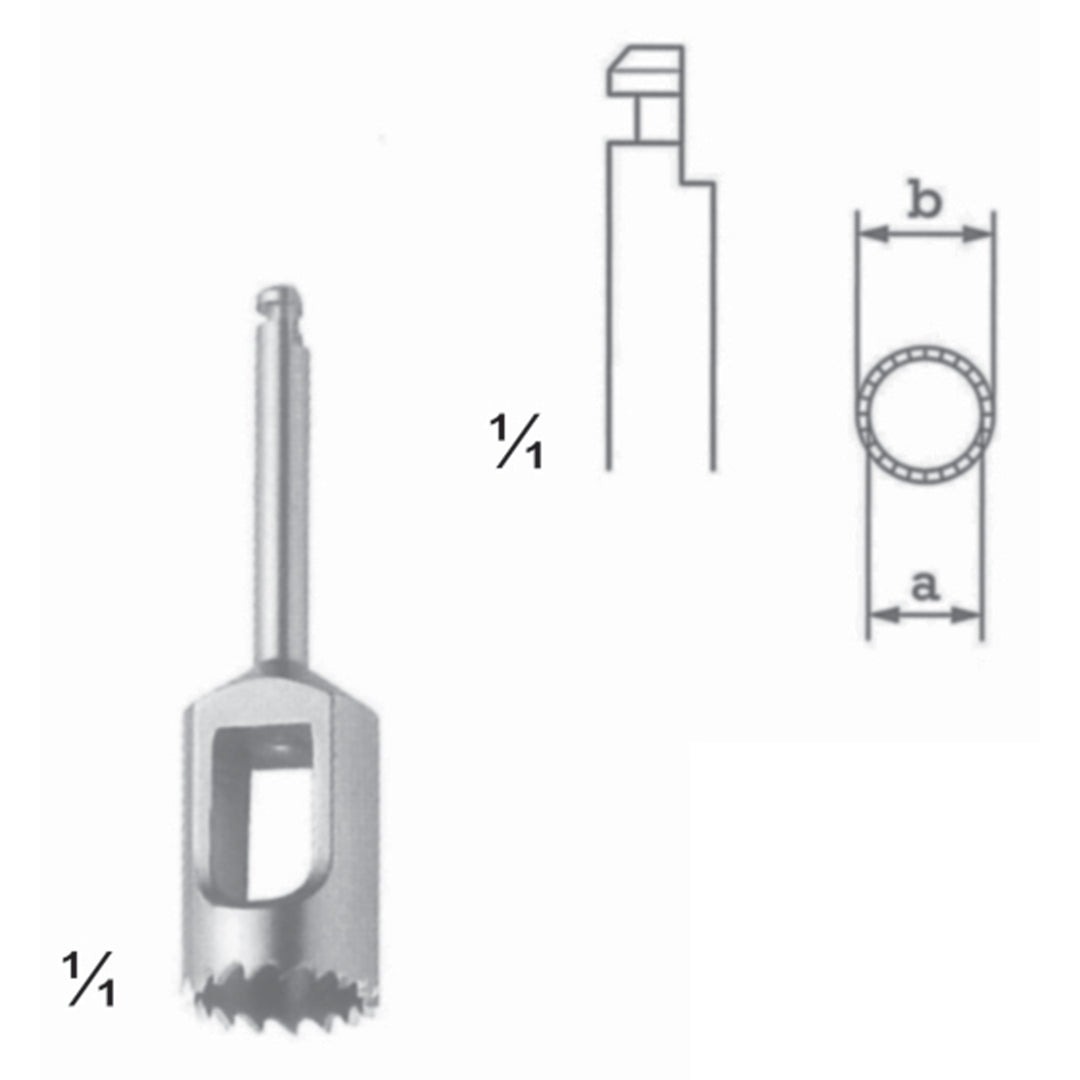 Bone Instruments A (5,0 Mm), B (6,5 Mm) (L-013-05) by Dr. Frigz