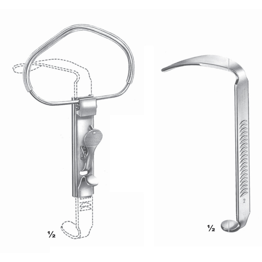 Bone Instruments 13.5cm Tongue Depressors (L-059-04) by Dr. Frigz